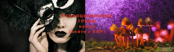 дурь Балахна