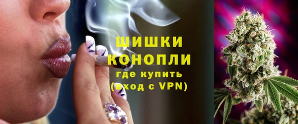 СК Аркадак